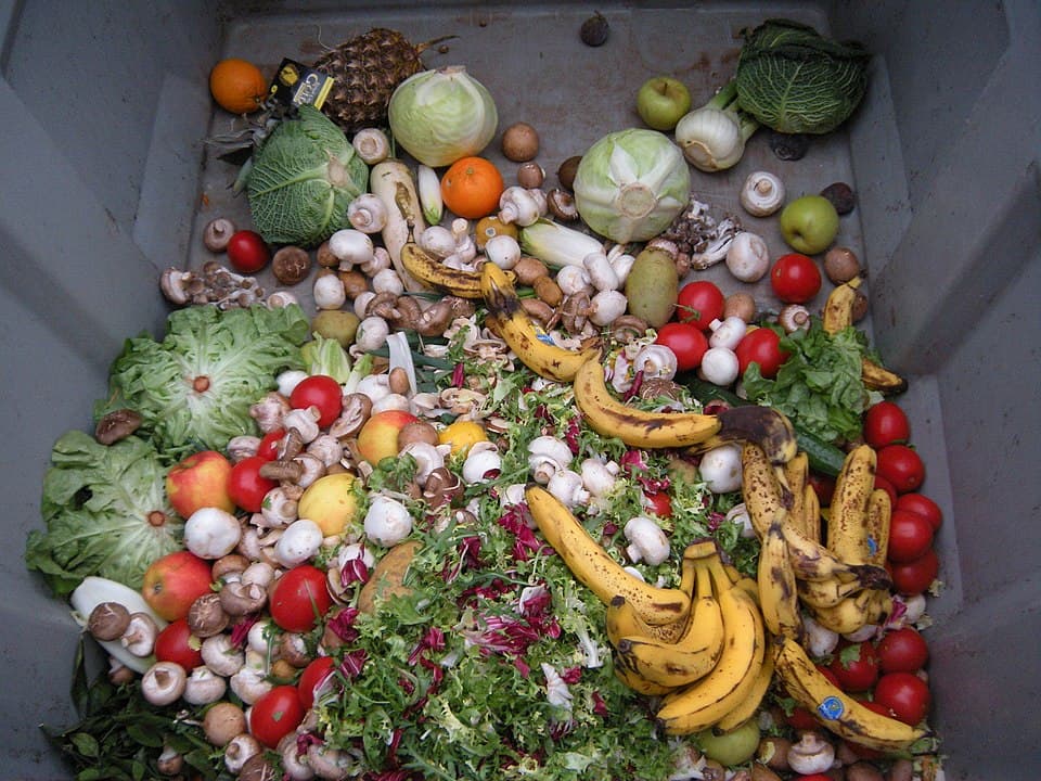 Sustainable Living Tips for Reducing Food Waste