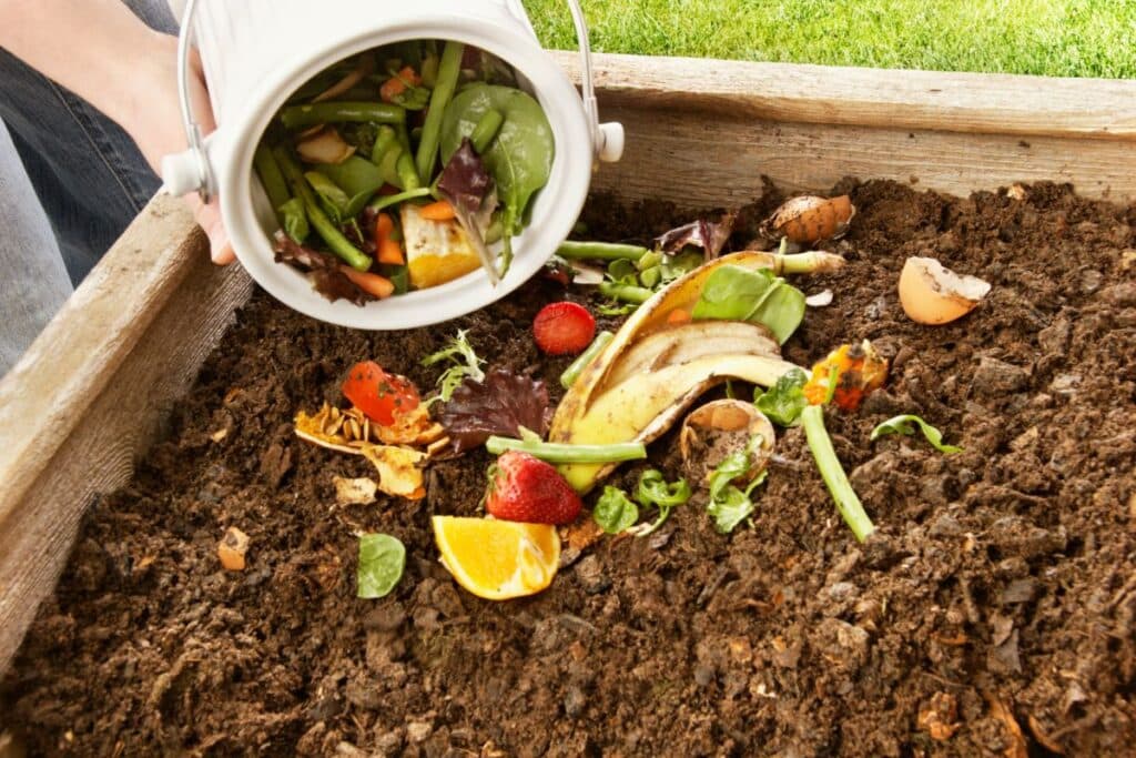 Composting 101: Turn Food Scraps into Garden Gold